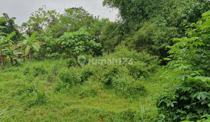 Dijual Tanah Matang di Area Tiga Raksa Tangerang 1
