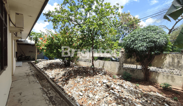 KAVLING RUMAH TUA RUSAK HITUNG TANAH SAJA DI CEMPAKA PUTIH 2