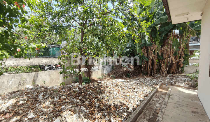 KAVLING RUMAH TUA RUSAK HITUNG TANAH SAJA DI CEMPAKA PUTIH 1