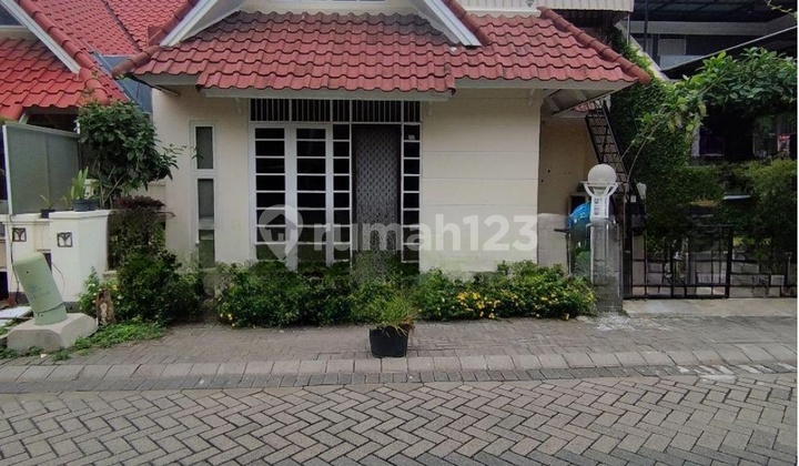 Rumah Furnish International Village Citraland Utama Rumah Furnish International Village Citraland Utama