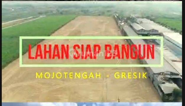 Tanah Sudah Diurug Zona Industri Raya Mojotengah Gresik  2