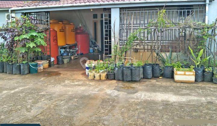 Rumah sederhana dengan banyak bonus di desa kapur  1