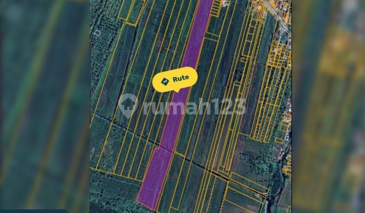 Land for Sale on Jl. Jungkat, Mempawah Land for Sale on Jl. Jungkat, Mempawah