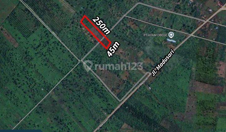 Dijual Tanah di Jl. Madusari, Tembus Jl. Parit H. Muksin , Kubu Raya 1