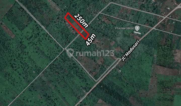 Dijual Tanah di Jl. Madusari, Tembus Jl. Parit H. Muksin , Kubu Raya 2