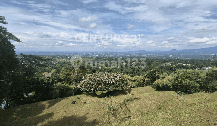 Contoured Terraced Land Suitable for Glamping or Villa Business S9397