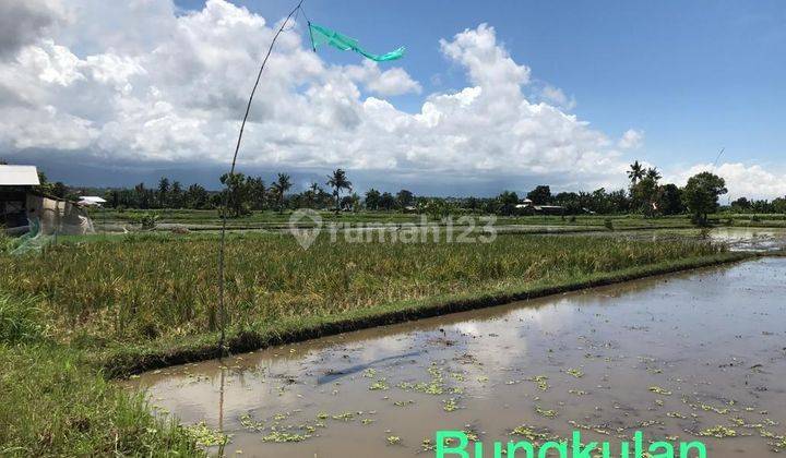 Tanah Dekat Pantai Di Buleleng Singaraja Bali S7231  2