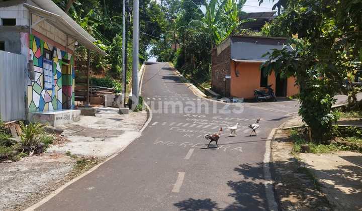 Tanah dijual, di Semarang cocok untuk outbond & wisata alam 2