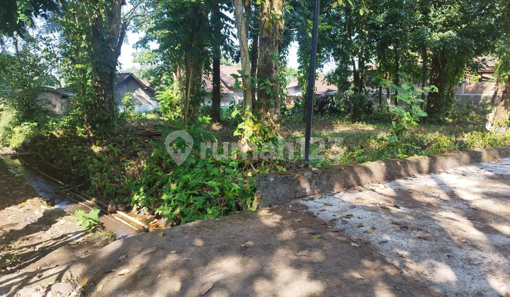 Tanah dijual di Harjobinangun Pakem, dekat SMAN 1, Lt 1302m2 Tanah dijual di Harjobinangun Pakem, dekat SMAN 1, Lt 1302m2
