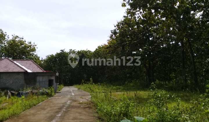 Tanah dijual di Wonosari, Dekat RSI Gunung Kidul DIY