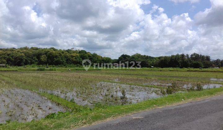  Tanah Sawah Dijual, Sangat Dekat Ke Pasar Brosot, Lt 1.126m2 1