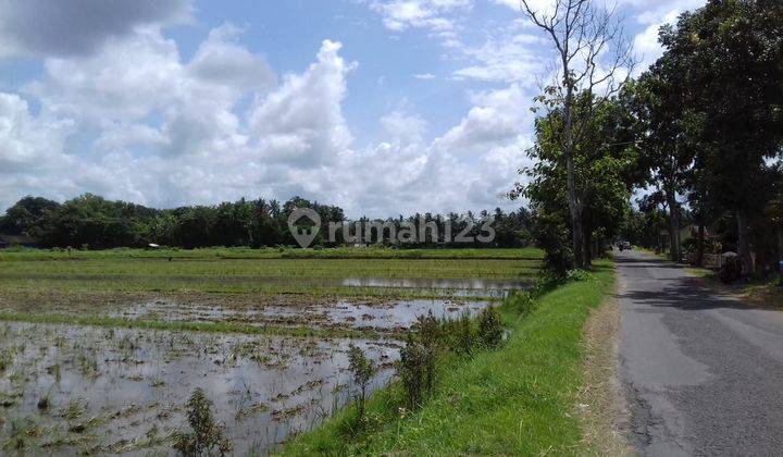  Tanah Sawah Dijual, Sangat Dekat Ke Pasar Brosot, Lt 1.126m2 2