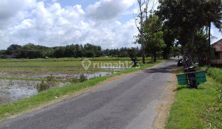  Tanah Sawah Dijual, Sangat Dekat Ke Pasar Brosot, Lt 1.126m2 2