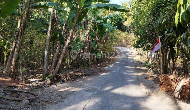 Tanah Hook Dijual Murah di Pandak Bantul Yogya, Lt 5073m2