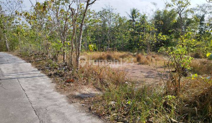 Tanah Hook Dijual Murah di Pandak Bantul Yogya, Lt 5073m2 2