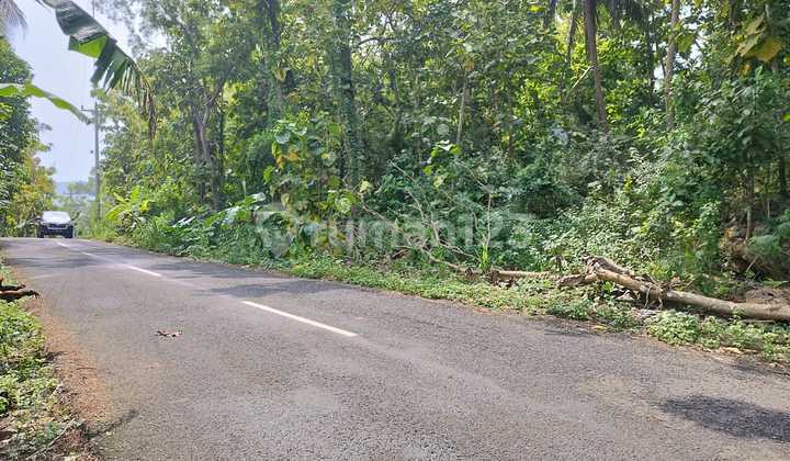 Land for Sale Near Paralayang Obelix Sea View, Suitable for Villa, Area 4465m2