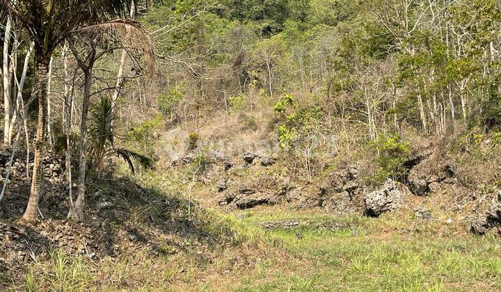 Land for Sale Near Paralayang Obelix Sea View, Suitable for Villa, Area 4465m2