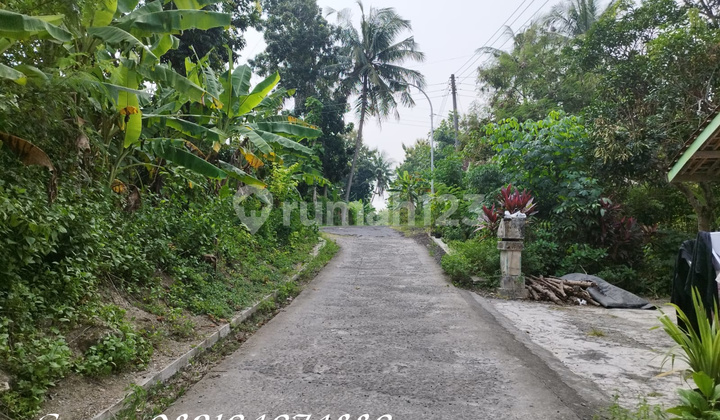 Dijual Tanah di Sedayu Yogya, Lt 350m2