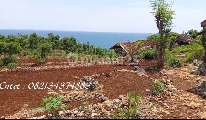Tanah dijual di Pantai Ngrumpon Gunung Kidul, cocok untuk villa Tanah dijual di Pantai Ngrumpon Gunung Kidul, cocok untuk villa