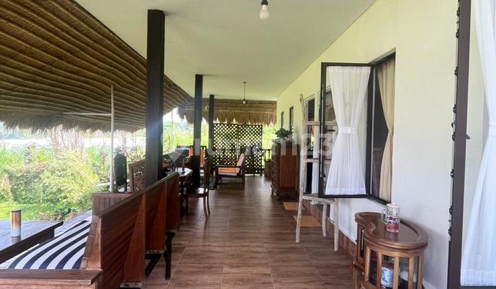 For Rent Bungalow Plaga, Petang - Bali, Close to Many Tourist Attractions & Suwiti Hospital. For Rent Bungalow Plaga, Petang - Bali, Close to Many Tourist Attractions & Suwiti Hospital.