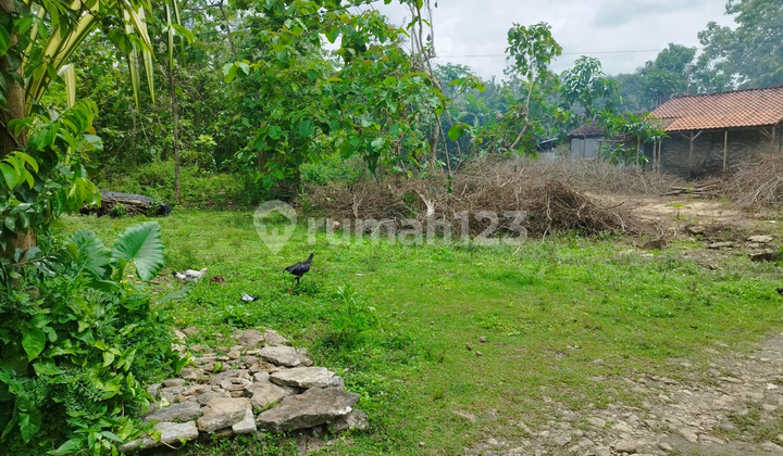 Land for sale in Pajangan Bantul near the future UIN campus, suitable for a boarding house business.