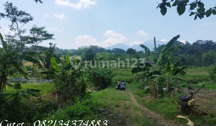 Tanah dijual, di Semarang cocok untuk outbond & wisata alam 1