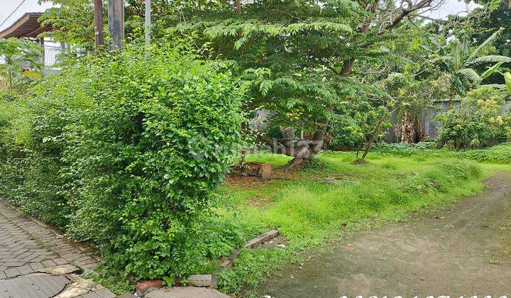 Tanah Dijual Cepat Dekat Keraton Yogya, Lt 300m2