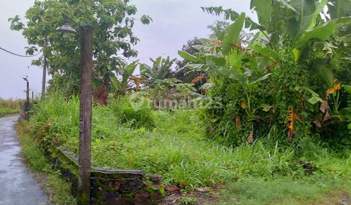 Rumah Dijual Dekat Ibarbo Park Sleman Yogya, Lt 85m2, Unit Terbatas 2