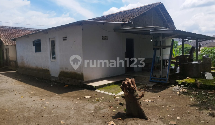 Disewakan Rumah di Sendangadi, Timur Rm Pringsewu, Dekat Sleman City Hall Disewakan Rumah di Sendangadi, Timur Rm Pringsewu, Dekat Sleman City Hall