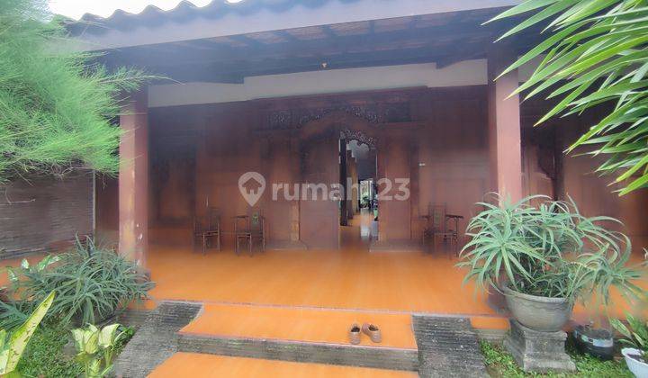 Rumah Joglo Mewah 600 Meter Kantor Desa Ringinpitu  1