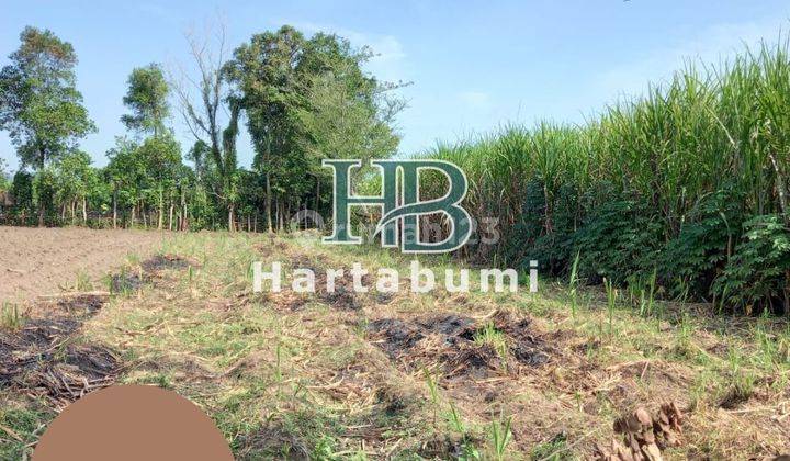 Tanah Murah Dekat Uin Satu Tulungagung Cocok Untuk Kost 1