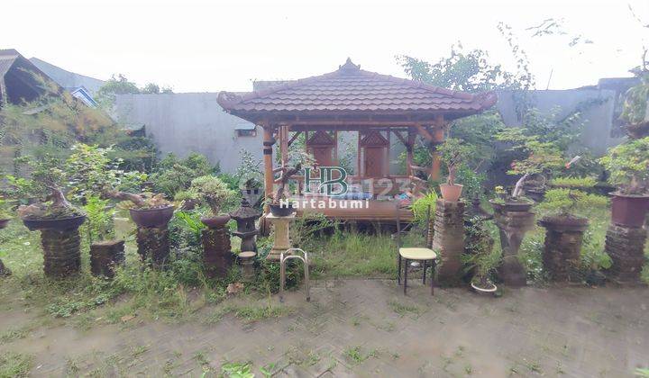 Rumah Mewah Joglo 600 Meter Kantor Desa Ringinpitu  3