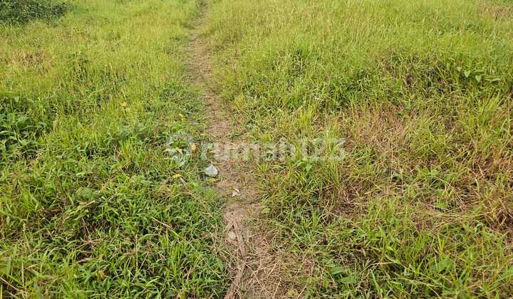 Dijual Tanah Strategis Pinggir Jalan di Cikande, Rangkasbitung, Banten