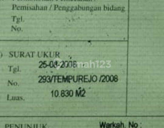Jual Murah Kebon Jati Unggul 5