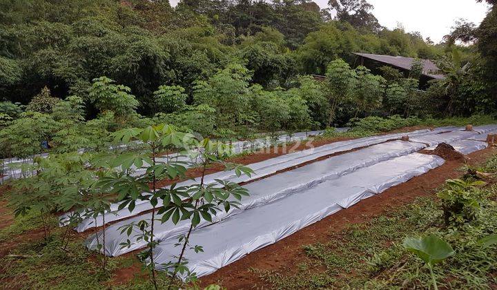 Gudang Murah Dipinggir Jl Raya Gunungpati Cangkiran Boja Kendal 8