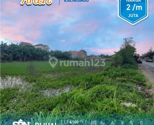 Tanah Dijual Murah Lokasi Pinggir Jalan Raya Kaliwunggu Kendal 1