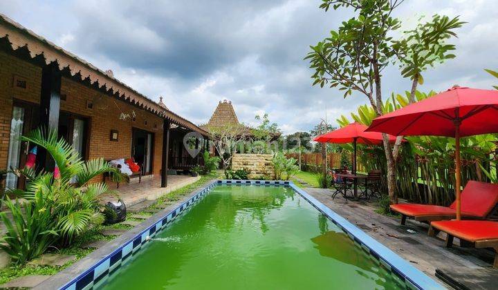 Rumah Dijual Jogja Utara, View Sawah Dan Gunung 2
