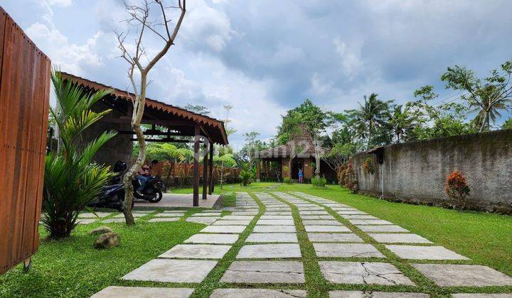 Rumah Dijual Jogja Utara, View Sawah Dan Gunung 1