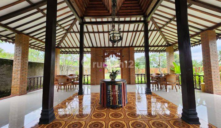 Rumah Dijual Jogja Utara, View Sawah Dan Gunung 6