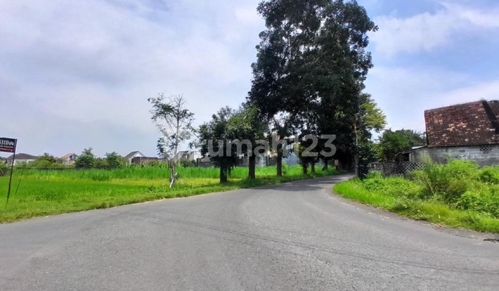 Tanah Jl. Palagan Timur Pasar Rejodani Tepi Jalan Aspal View Cantik Persawahan Dan Gn Merapi Tanah Jl. Palagan Timur Pasar Rejodani Tepi Jalan Aspal View Cantik Persawahan Dan Gn Merapi