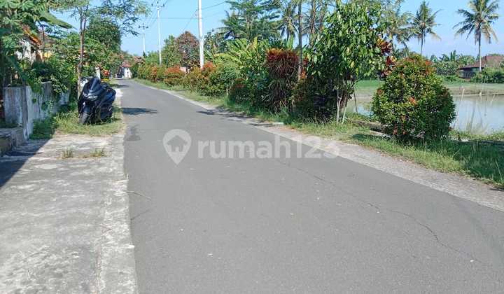 Tanah Pekarangan Mangku Jalan Aspal Dekat Depot Iwak Kalen Godean 2