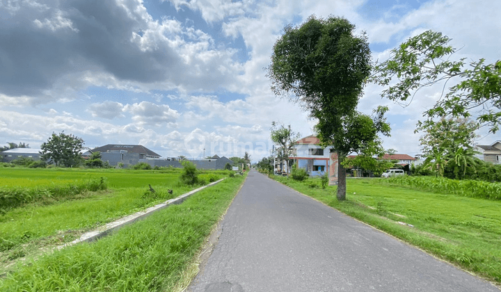 Tanah Apik Dekat Rs Pdhi Jl. Jogja Solo SHM Akses Mobil Papasan 2