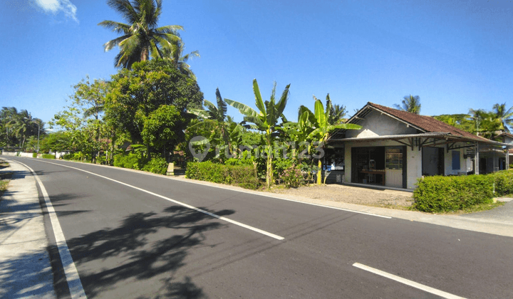 5 Menit Bandara Yia Wates Tanah Jogja SHM Di Tawangsari Pengasih 2