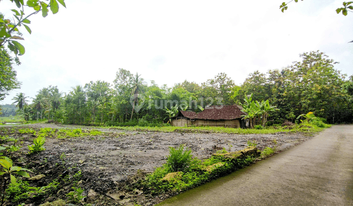 Siap Ajb Notaris, Tanah Jogja Barat Area Sentolo Kulon Progo