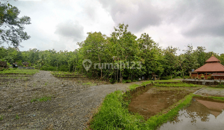 Siap Ajb Notaris, Tanah Jogja Barat Area Sentolo Kulon Progo 2