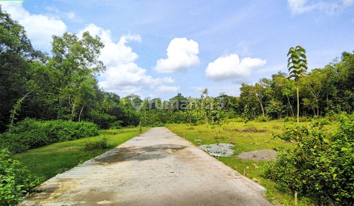 Tanah Jogja Barat SHM Ready Dekat Stasiun Wates Kota Kulon Progo 2