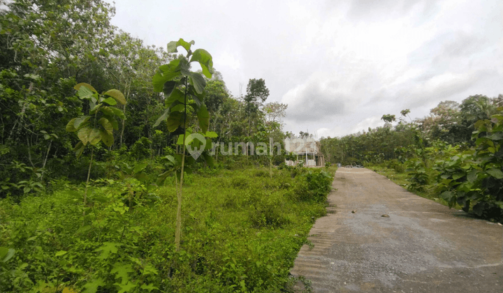 100 Jutaan Tanah Jogja Lokasi di Dekat Bandara Yia Kulon Progo 1