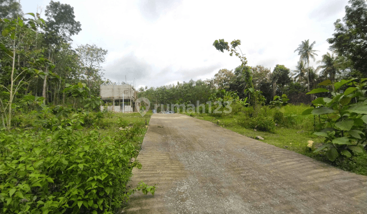 100 Jutaan Tanah Jogja Lokasi di Dekat Bandara Yia Kulon Progo 2