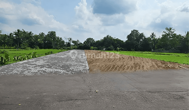 Harga Nego, SHM Pekarangan Area Pandanaran Dekat Kampus Uii 2