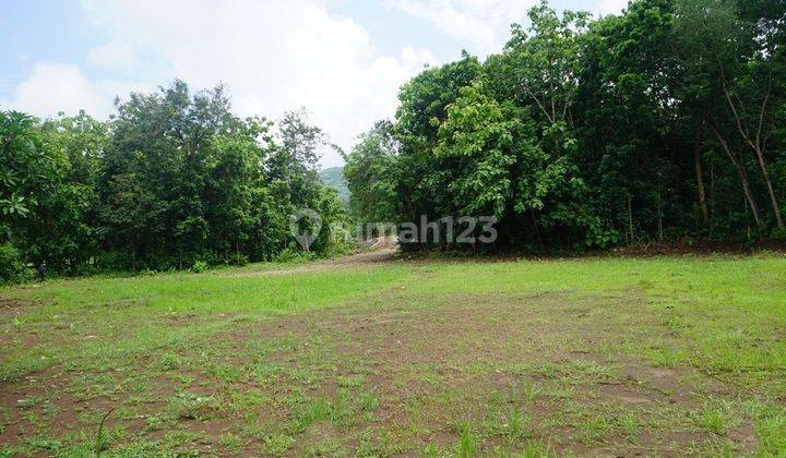 Tanah Bawuran Pleret, 5 Menit Wisata Hutan Pinus Bantul, Jogja